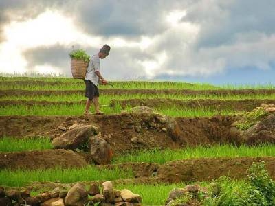 Mu Cang Chai
