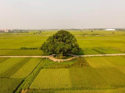 Knowwhere Vietnam