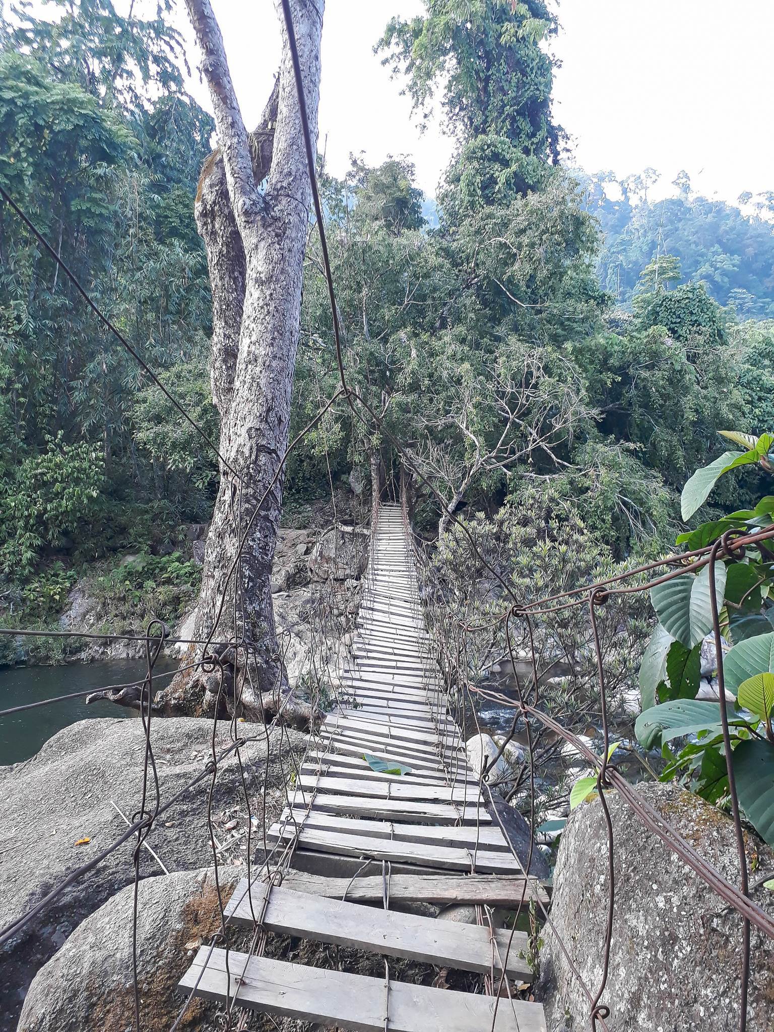 Wooden Bridge in Vietnam 