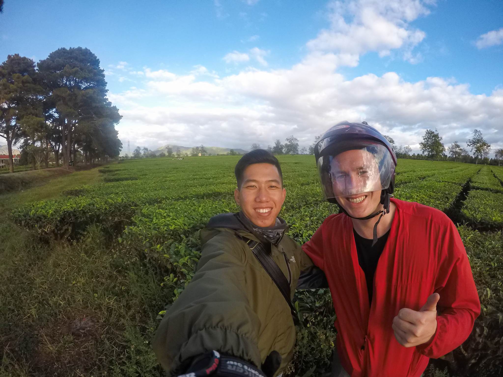 Gia Lai Tea Plantation