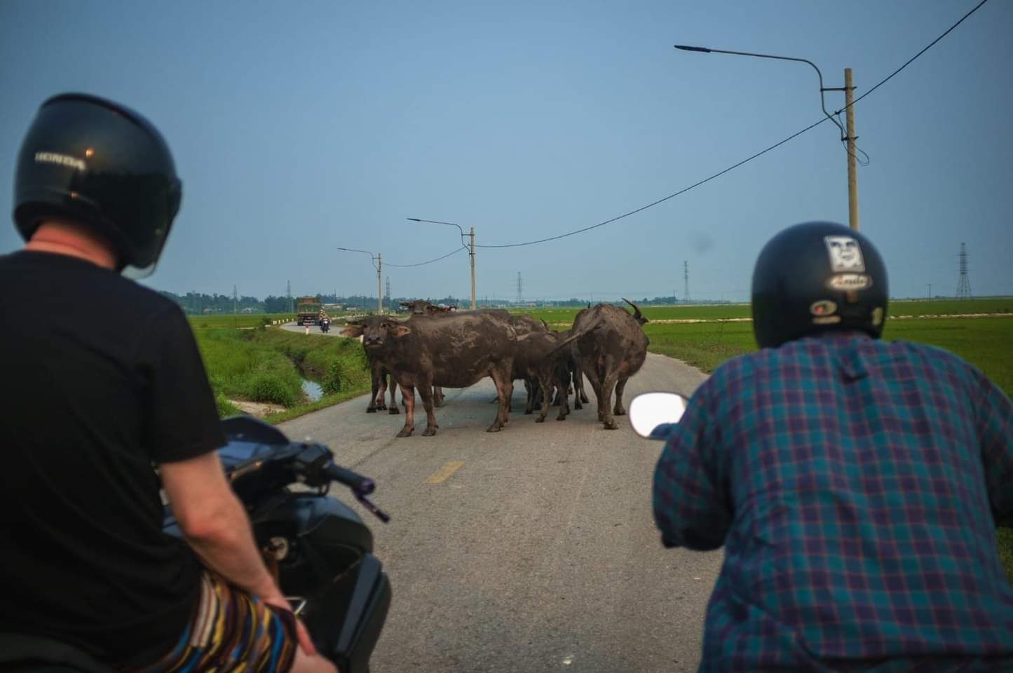 Ridding though Vietnam